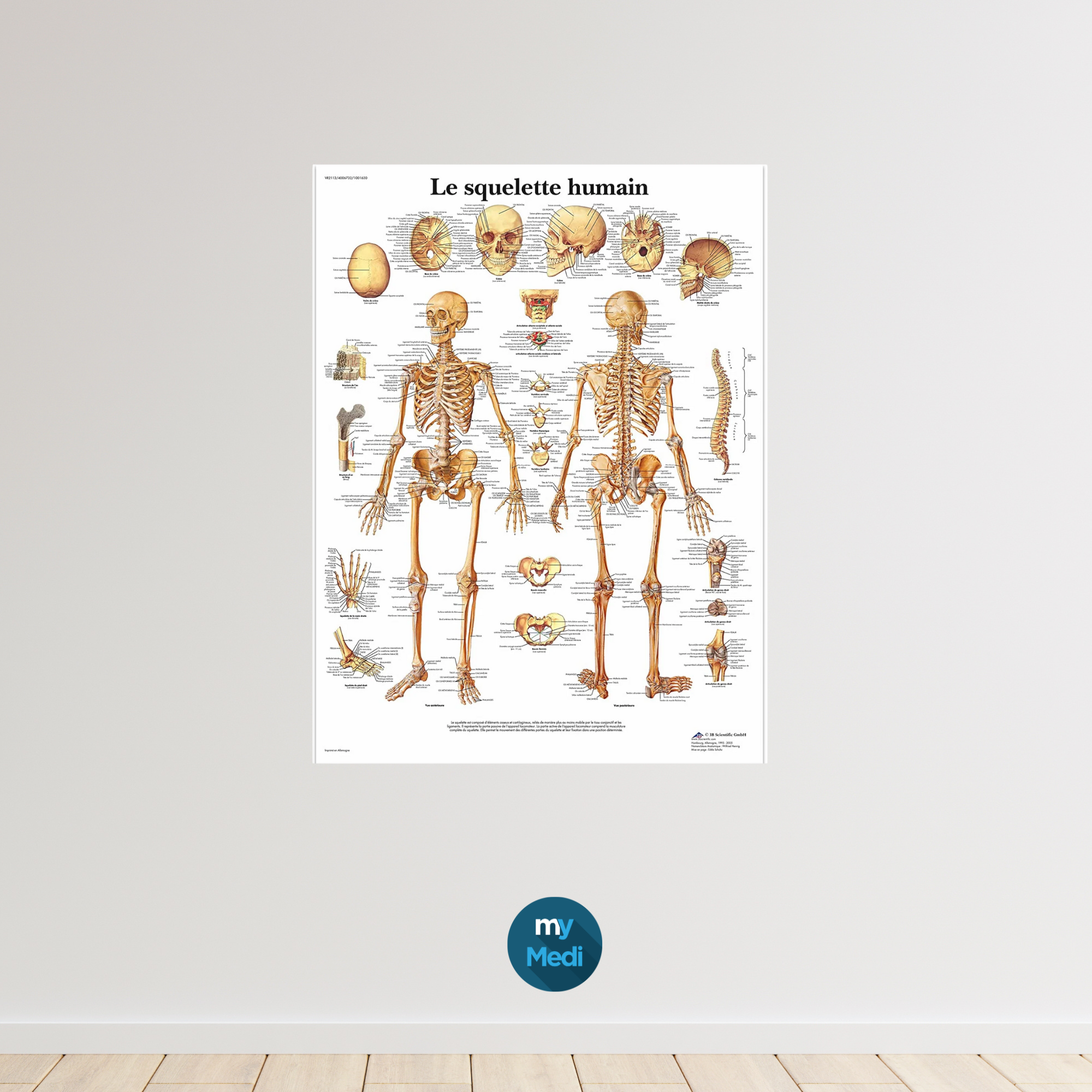 Matériel de bureau pour cabinet d'ostéopathie