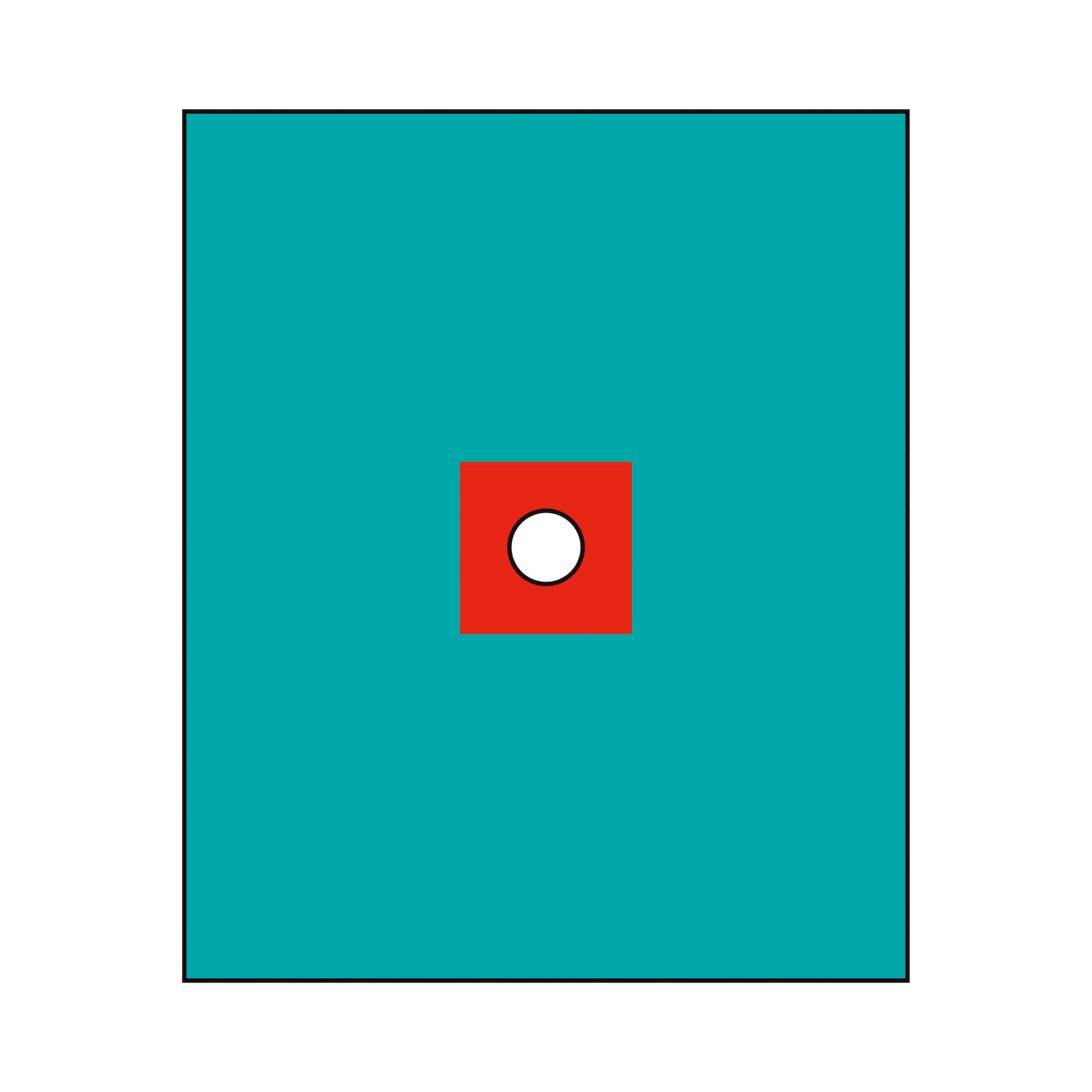 Champs stériles fenêtrés - 2 formats - RAUCODRAPE