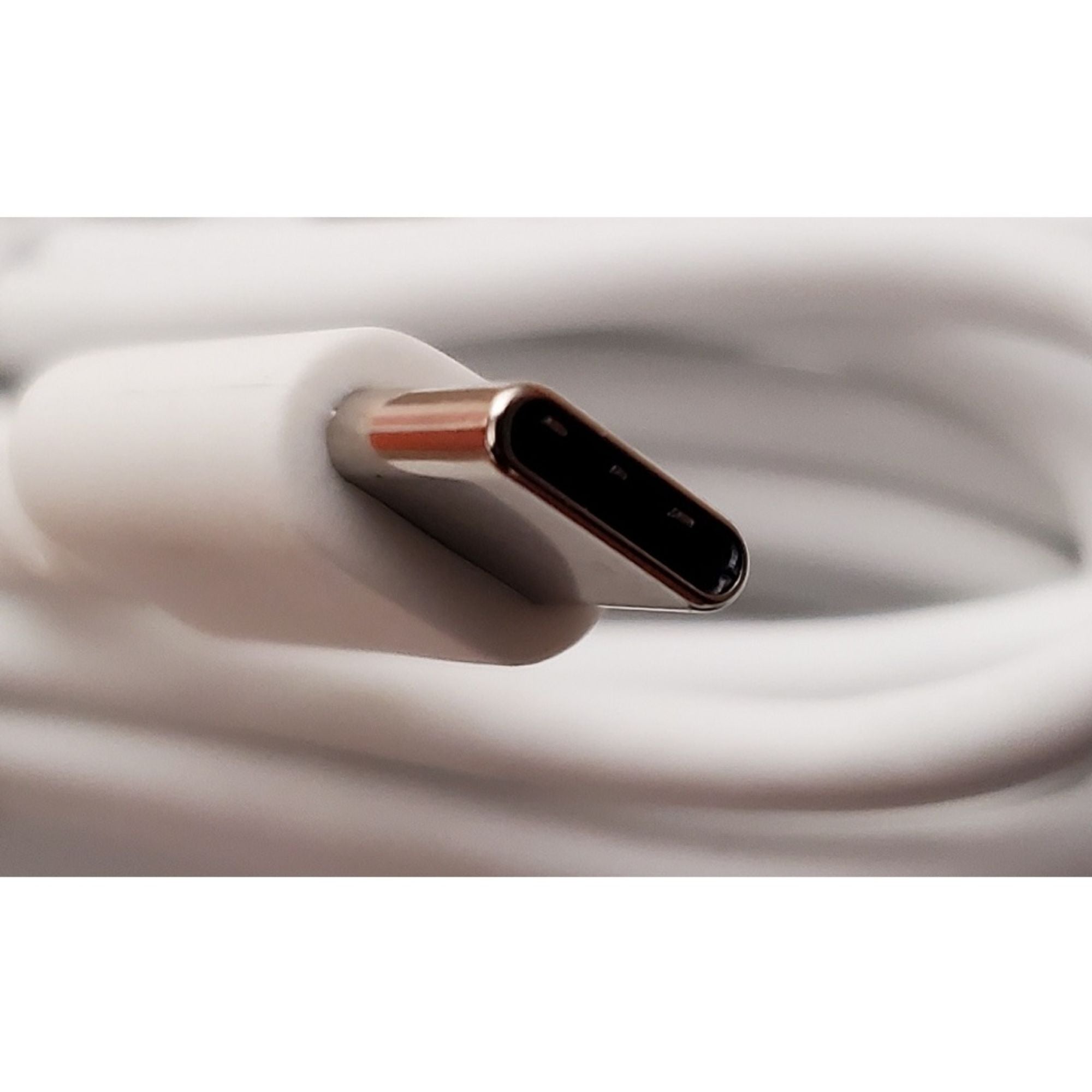 Câble de connexion USB-C Endo Free - WoodPecker