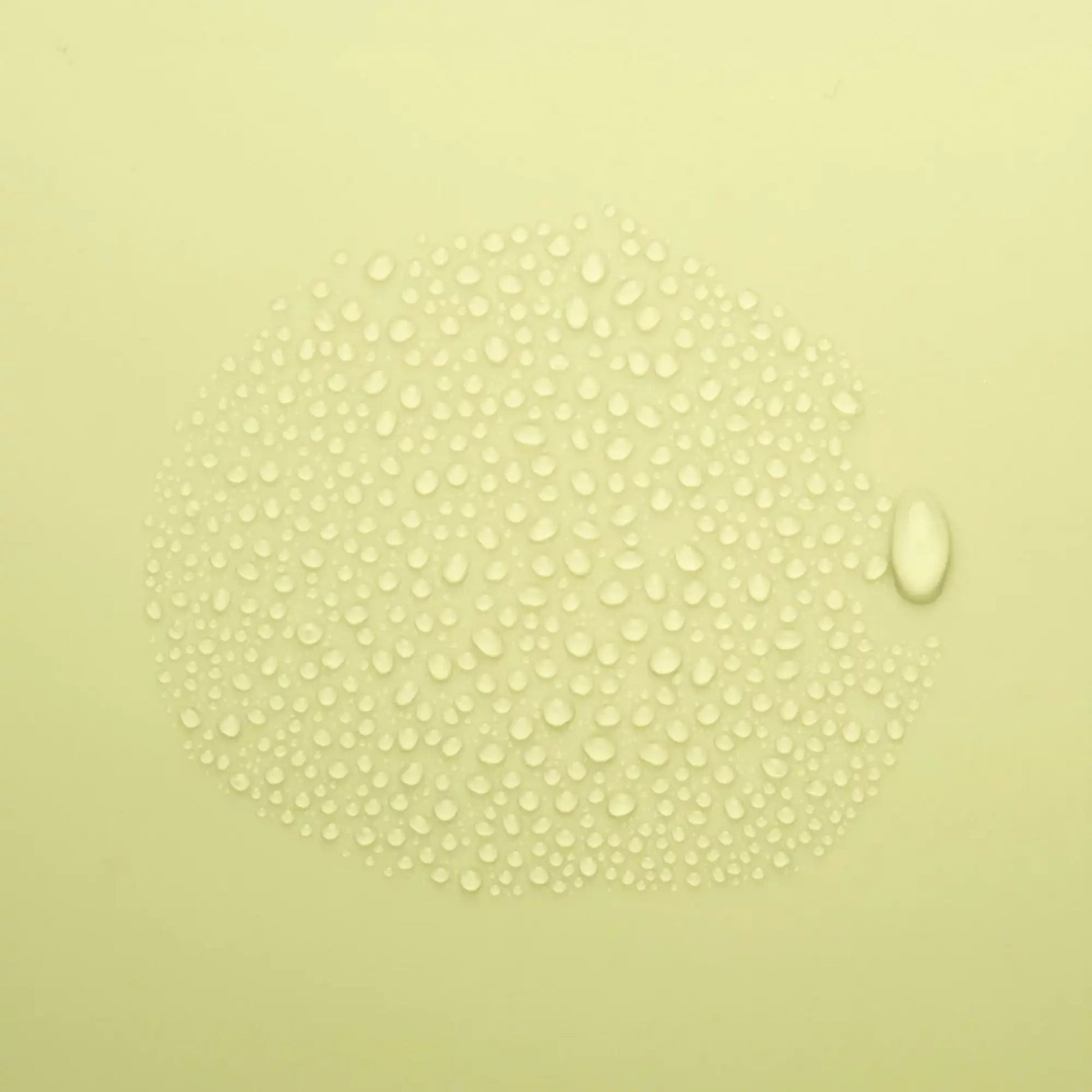 Spray Nettoyant - 50 ml - Dax & Terra Dax & Terra 