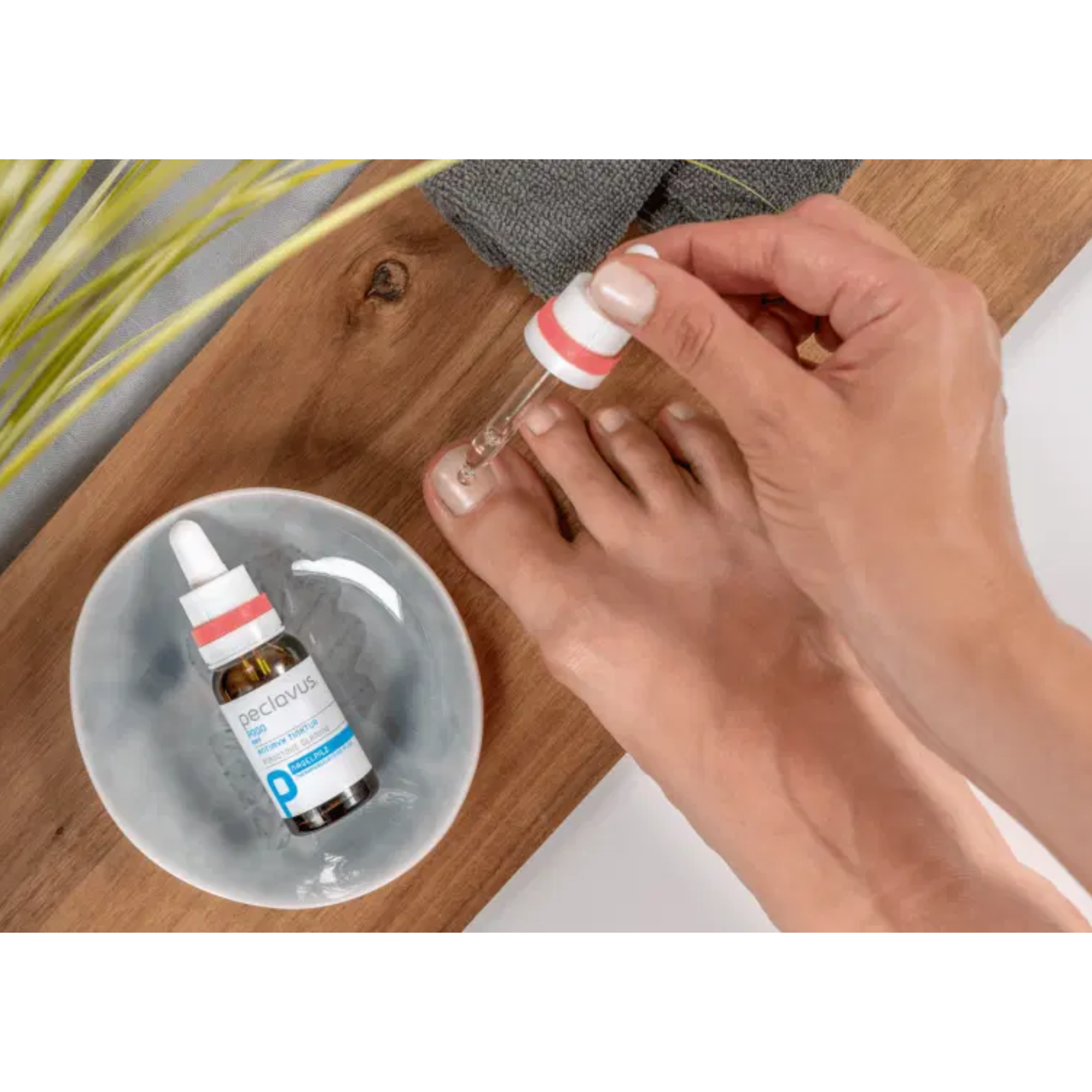 Teinture AntiMYX - Peclavus